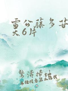 雷公藤多苷片每天6片