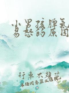 小男孩脾气暴躁易怒的原因