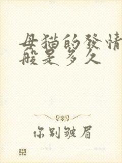 母猫的发情期一般是多久