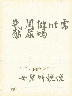 几周做nt需要憋尿吗