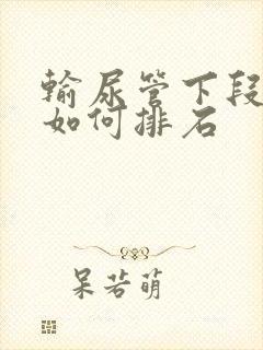 输尿管下段结石如何排石