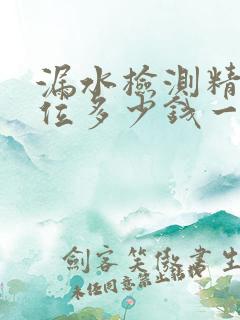 漏水检测精准定位多少钱一个