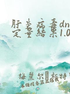 肝炎病毒dna定量结果1.00e+05