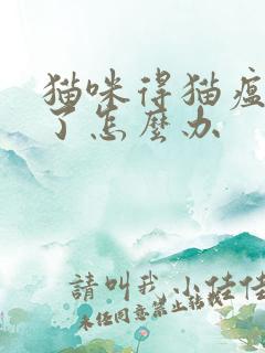 猫咪得猫瘟九天了怎么办