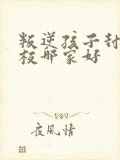 叛逆孩子封闭学校哪家好