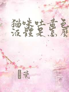 猫咪吐黄色透明液体是怎么回事