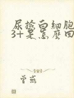 尿检白细胞酯酶3+是怎么回事