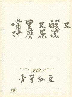 嘴里又酸又臭是什么原因