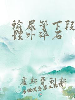 输尿管下段结石体外碎石