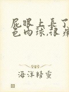 屁眼上长了个白色肉球,很痒