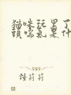 猫咪玩累了吐舌头喘气是什么意思