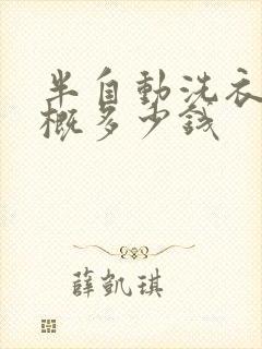 半自动洗衣机大概多少钱