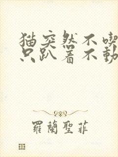 猫突然不吃不喝只趴着不动