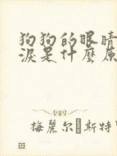 狗狗的眼睛流眼泪是什么原因