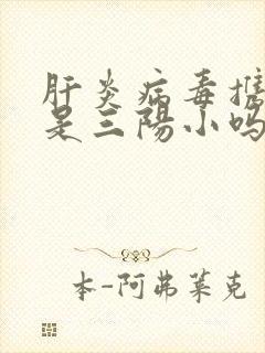 肝炎病毒携带者是三阳小吗