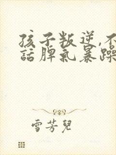 孩子叛逆,不听话脾气暴躁怎么办