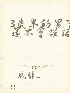 3岁半的男宝宝还不会说话怎么办