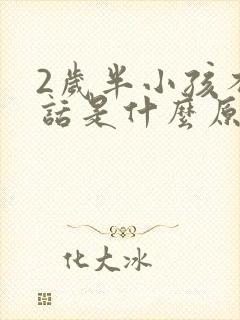 2岁半小孩不说话是什么原因