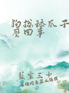 狗总舔爪子是怎么回事