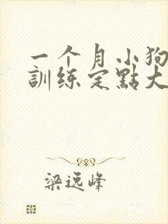 一个月小狗怎么训练定点大小便