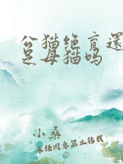 公猫绝育还能满足母猫吗