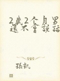 2岁2个月男宝还不会说话