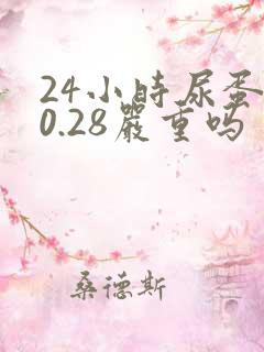 24小时尿蛋白0.28严重吗