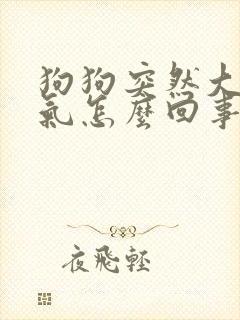 狗狗突然大口喘气怎么回事