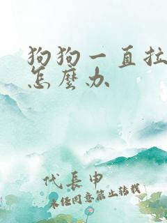 狗狗一直拉血便怎么办