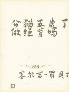 公猫五岁了还用做绝育吗