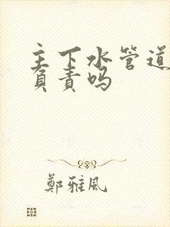 主下水管道物业负责吗