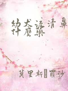 幼犬流清鼻涕吃什么药