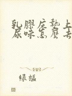 乳胶床垫上的猫尿味怎么去除