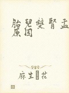 胎儿双肾盂分离原因