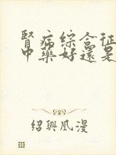 肾病综合征是吃中药好还是西药好