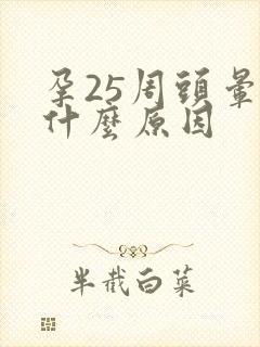 孕25周头晕是什么原因