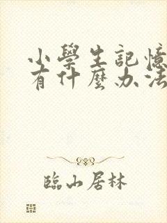 小学生记忆力差有什么办法