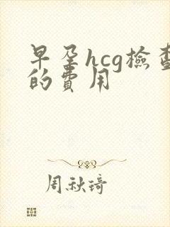 早孕hcg检查的费用