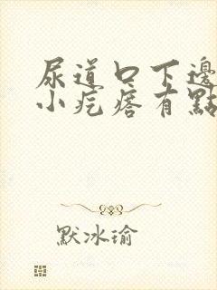 尿道口下边有个小疙瘩有点痒