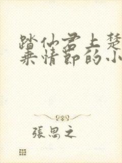 踏仙君上楚妃骑乘情节的小说