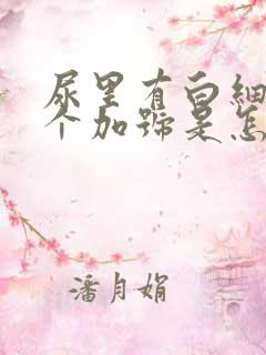 尿里有白细胞一个加号是怎么回事