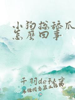 小狗总舔爪子是怎么回事