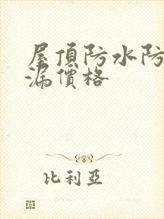 屋顶防水防漏补漏价格