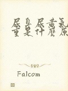 尿臭尿黄气味很重是什么原因