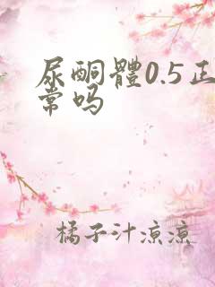 尿酮体0.5正常吗