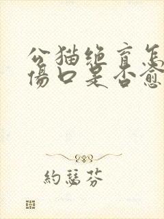 公猫绝育怎么看伤口是否愈合