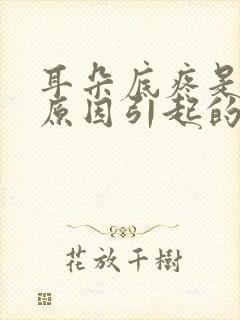 耳朵底疼是什么原因引起的