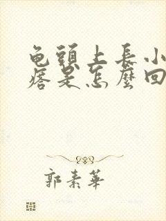 龟头上长小红疙瘩是怎么回事