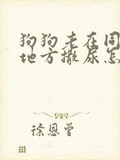 狗狗老在同一个地方撒尿怎么办