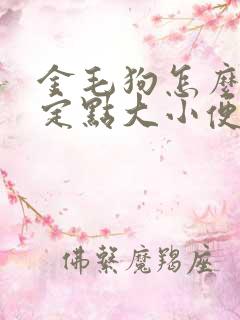 金毛狗怎么训练定点大小便